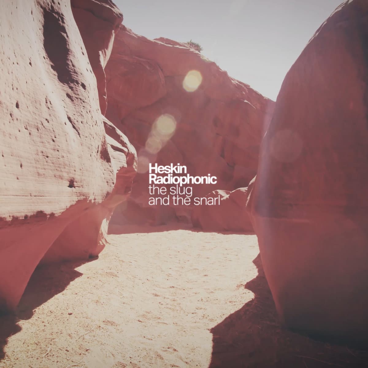 The Slug and the Snarl